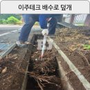 고흥과역중학교 이미지