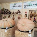 용문농장 이미지