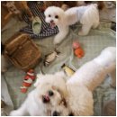 엄마 잘 다녀와 이미지