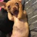 천북목장 | 보령 천북🦪유기농 우유 베이커리 · 창고 개조🐮카페 [우유창고] 후기