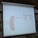 (주)천하육가공 | 소세지만들기 체험 ~ 미술관같은 돼지박물관 !! 이천 돼지보러오면돼지 2편 ^^ 아이와 이천여행코스