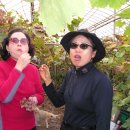 주희네 농장 이미지