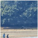 바다노을펜션 이미지