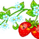 내사랑딸기 이미지