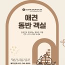 장기골프죤 | 전주 시그니처 호텔 펫프렌들리 객실 솔직후기 호두랑 함께한 전주여행