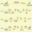 보라카이 가이드맨 이미지