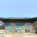 동화사 이미지