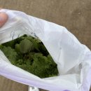 현정이네 농장 이미지