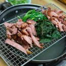 풍년오리박사 이미지