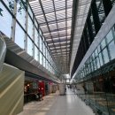 송송펫 | 김포공항국내선 1층 푸드코트 위치, 메뉴 종류 및 든든한 점심식사 후기