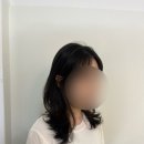 한일애견미용실 이미지