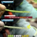 정상세포 지키고 '암세포'만 골라 죽이는 기적의 식재료 '이것'은? 이미지