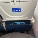 길가축인공수정소 | 임신 16주차 미국 크루즈 여행 2편｜유나이티드 항공 탑승 후기와 샌프란시스코 경유 관광