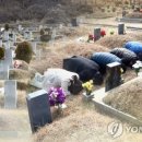 대접(待接) 네이버블로그