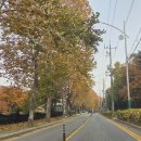 만의골로 이미지