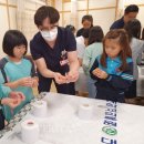 수성초등학교 이미지