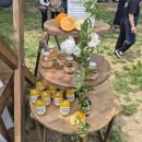 전주 한옥마을 향교 야외결혼식 후기 (+주차정보, 뷔페 밥)