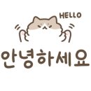 25센치 대전중리점 이미지