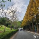 통영 이순신장군 공원 이미지