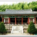 청도서원 Daum카페