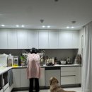 좋은밥상 좋은도우미 | [찐후기] 눈물 나는 대전 산모피아 산후도우미 ! 이정숙 관리사님후기입니다~ [대형견 키우는 집]