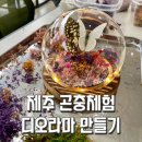 제주곤충박물관 찾는다면 덕천곤충영농조합