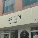 [대구 |중구] 반월당 미용실 클리닉 맛집 “고이헤어”