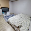 해마루민박 | [아기랑여행] 강릉여행 안인펜션 로컬민박 느낌 / 안목항 커피거리 하슬라가배