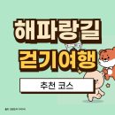 &#39;25,02,08/해파랑길 29 코스(삼척,호산터미널~임원항~용화해변) 이미지