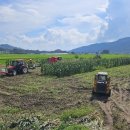 안정축산 이미지