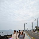 제주 콜밴 기사포함 15인승 제주도 쏠라티 투어 후기