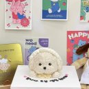 봄이까까 이미지