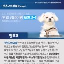 펫하우스 동물병원 네이버블로그