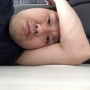 퍼셉션주