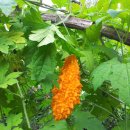 문환농장 이미지