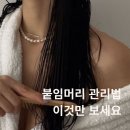 붙임머리 오래 유지하는 법｜잘못된 관리 vs 올바른 관리 차이 (박공헤어 경리단하우스 시엘)