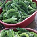 대왕슈퍼 이미지