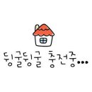 스테이 매기 이미지