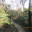 천마산 체육시설 이미지