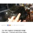 이슈미용실 이미지