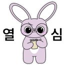 지랜드 이미지