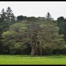 고려대역 1번출구 이미지