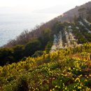 공곶이 언덕 이미지