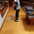 세심이클린 이미지