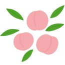 래쉬닥터 네이버블로그