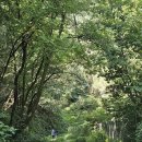 계정1리마을회관 이미지