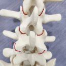 강철신경외과의원 이미지