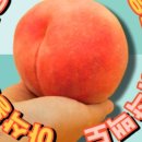 금봉농장 이미지