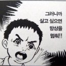 광일 태양광발전소 네이버블로그