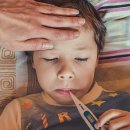 인지 태권도 이미지